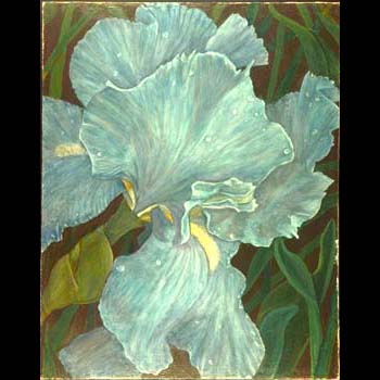 Blue Iris, Floral oil painting by Carol S Sakai, artist