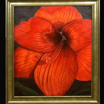 Big Red, Floral oil painting by Carol S Sakai, artist