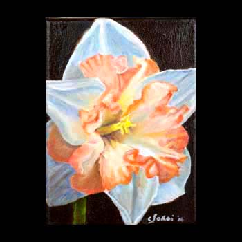 Double Daffodil, Floral Oil Painting created by Carol S Sakai