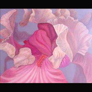 Pink Iris, floral oil painting by Carol S Sakai, artist