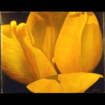 Tulip prayer, Floral Oil painting created by Carol Sakai
