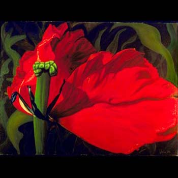 Tulip Wing, Floral Oil Painting by Carol S Sakai