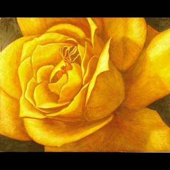 Yellow Rose, Floral Oil painting created by Carol Sakai