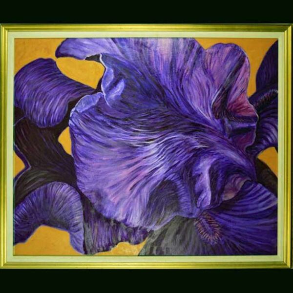 Oil on canvas entitled Black Iris by Carol Sakai