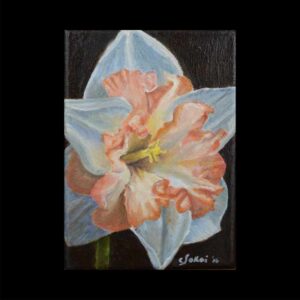 Oil on canvas painting of double daffodil